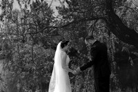 A FIRST LOOK A (14)
